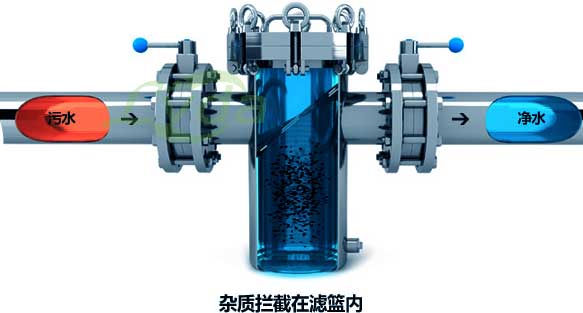 1-1ZH5162254949 管道蓝式过滤器